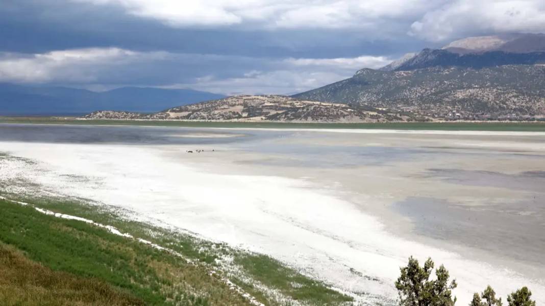 Eğirdir Gölü İkiye Ayrıldı! Doğal Cennet Can Çekişiyor 5